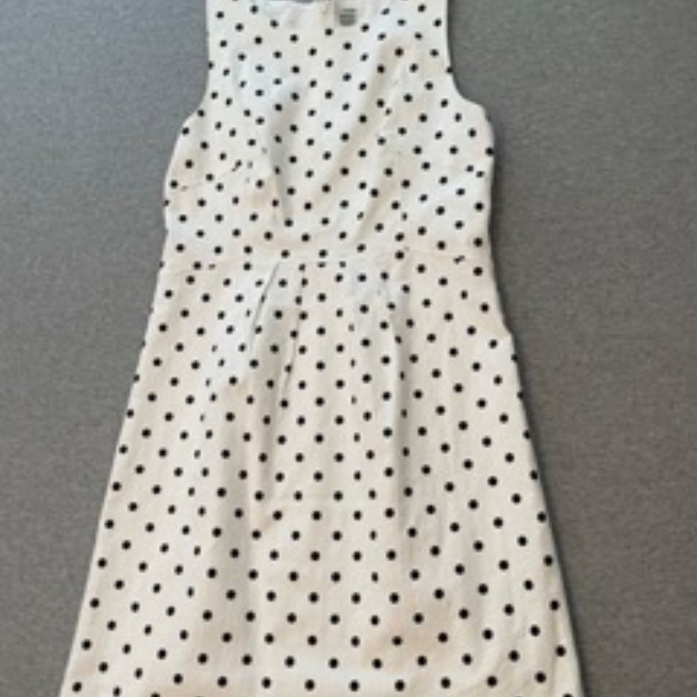 Fossil White and Black Polka Dot Dress